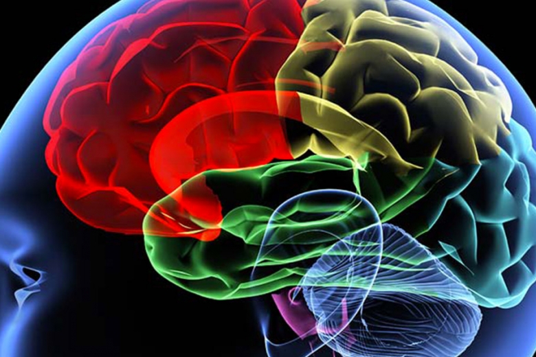 Riabilitazione neurologica